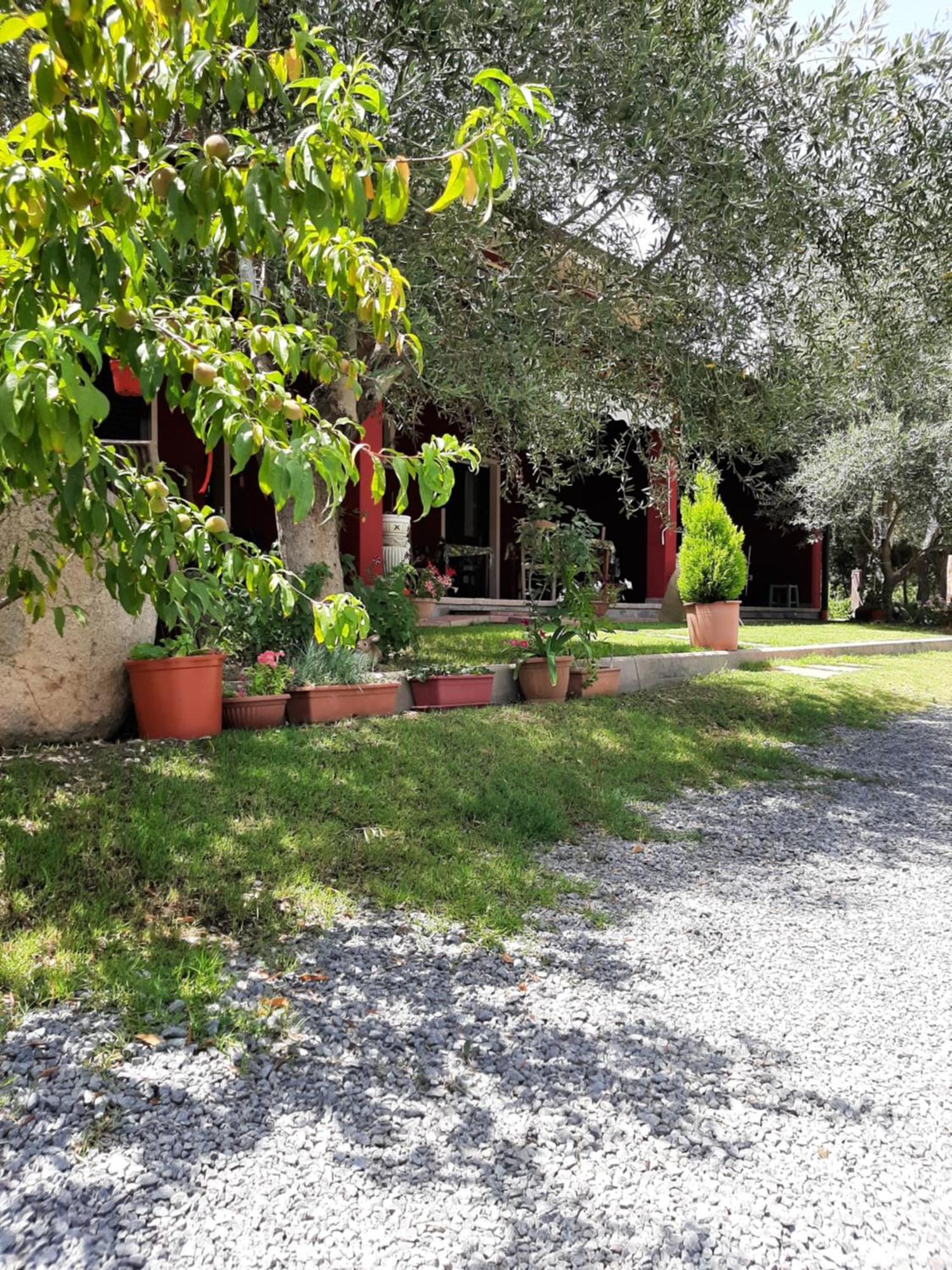 טאולאדה B&B Su Frascu Segau מראה חיצוני תמונה
